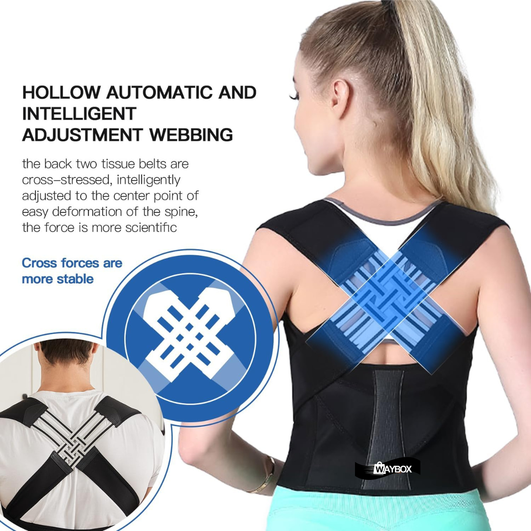 Waybox Posture Corrector Belt Unisex